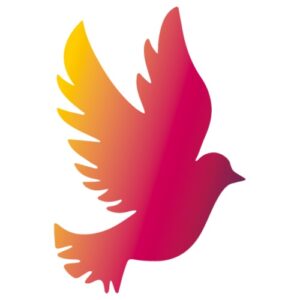 Bild von Susanne Matuschkat